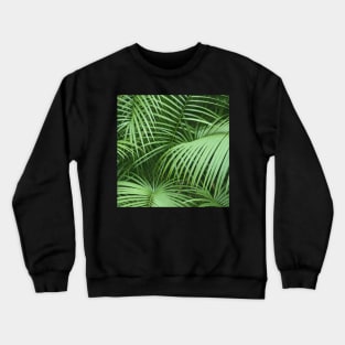 Palm Leaves Crewneck Sweatshirt